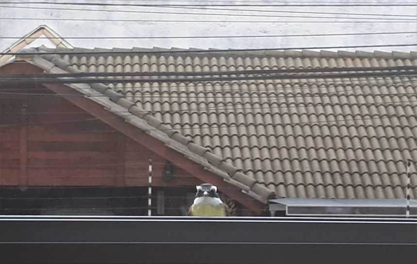 Até esqueço meu café esfriando