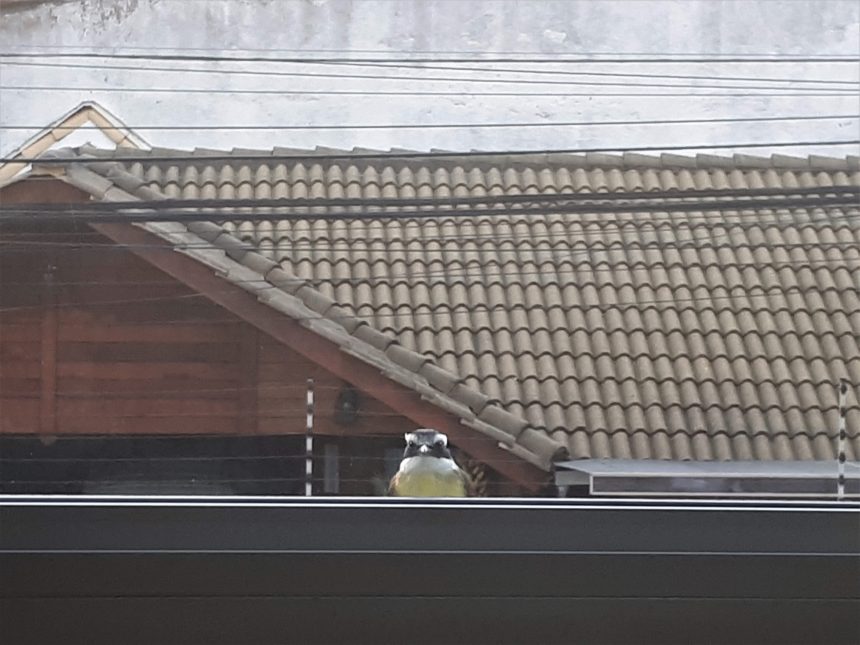 Até esqueço meu café esfriando