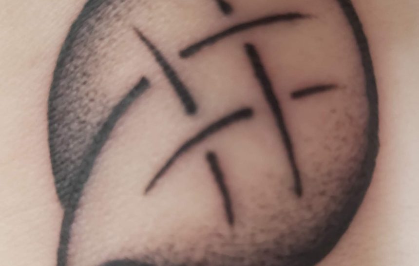 Pulga atrás da orelha