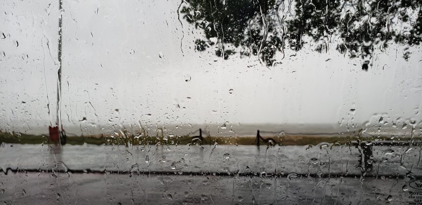 20191113_071043_020 Dia de chuva