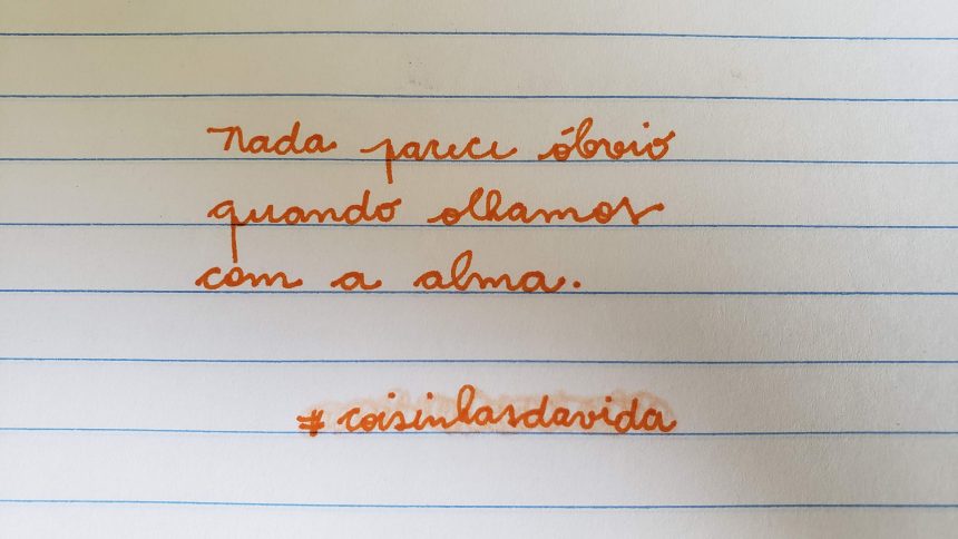 Reflexão #41
