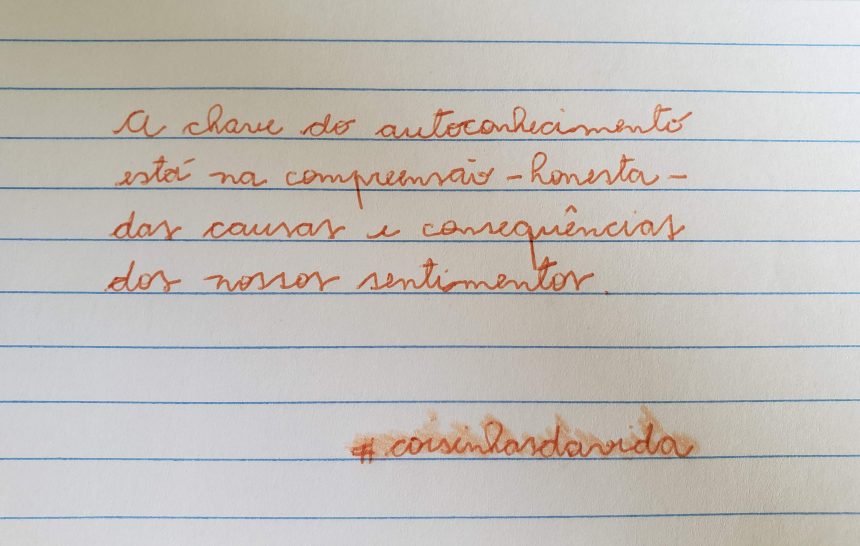 Reflexão #50