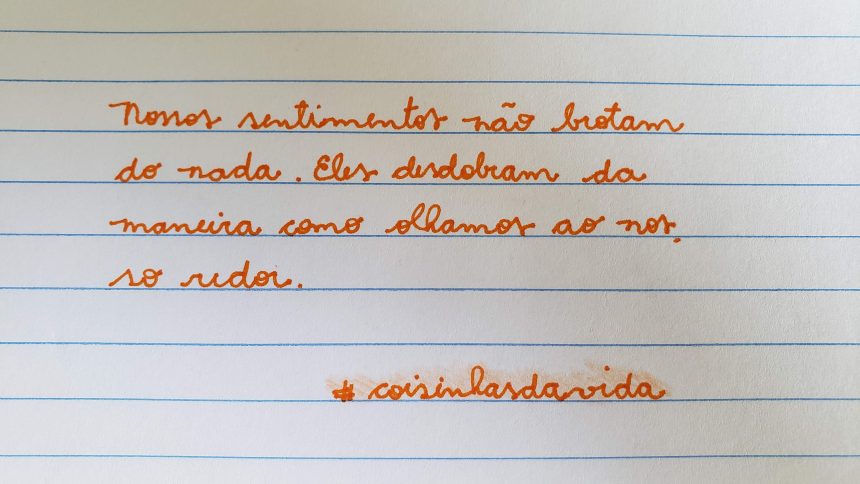 Reflexão #56